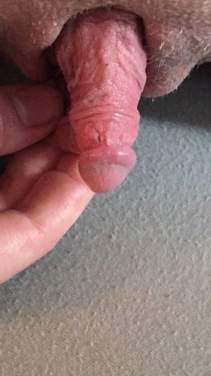 Beautyvulva amazing clit well formed head @creamy-goodness