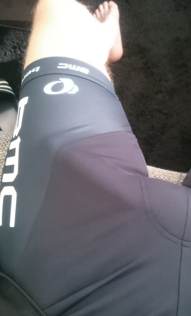 Dick in pants