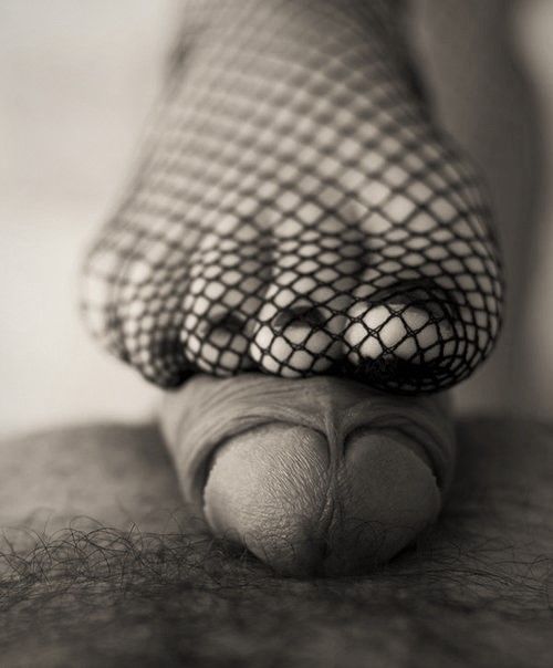 Cock snared