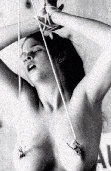clamps