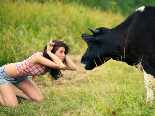 funny pic