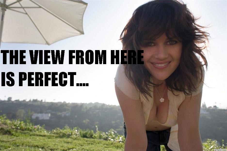 perfect view