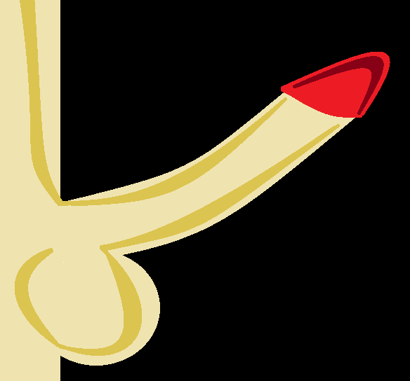 Penis