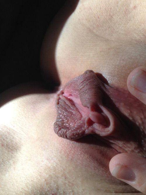 big #labia ever - #pornpics #photoporno #clit