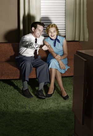 Typical 1960s couple's reaction to Gillian Island sex scenes.