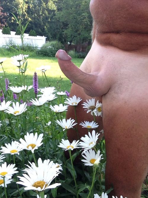 reblogged from...