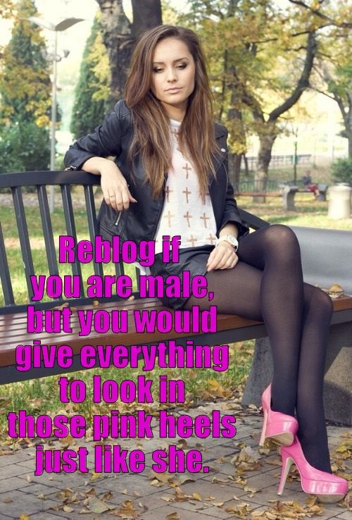 Keep dreaming