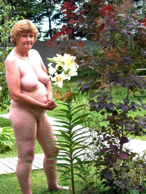 Mature Porn Land…