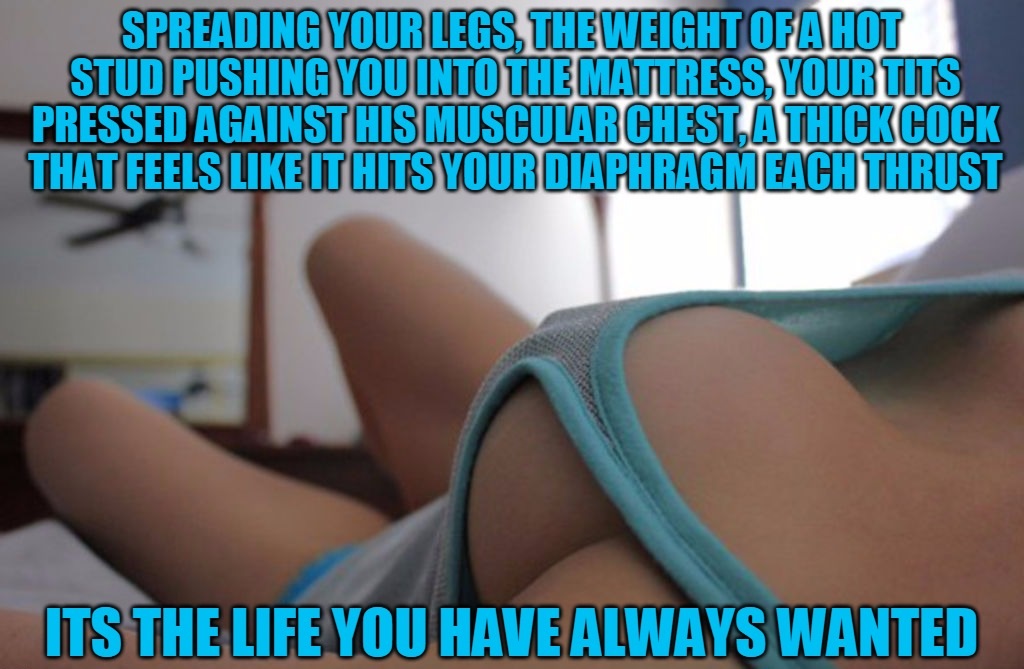 Its the life you have always wanted