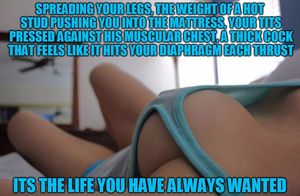 Its the life you have always wanted