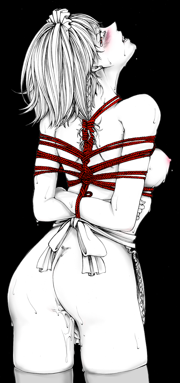 izayoi sakuya (touhou) drawn by hasebe (model21)
