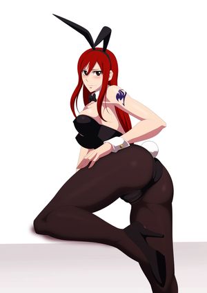 Bunnygirl Erza