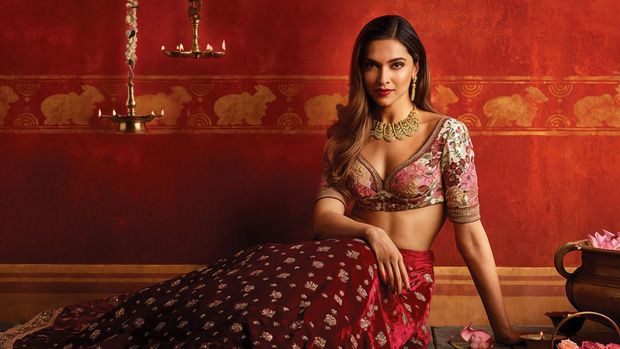 sexy hot saree
