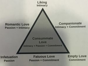 bitchywhitebrunette: The Triangular Theory of Love (Robert...