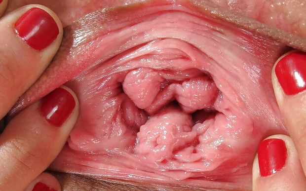 That is a real pussy.