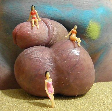 dick