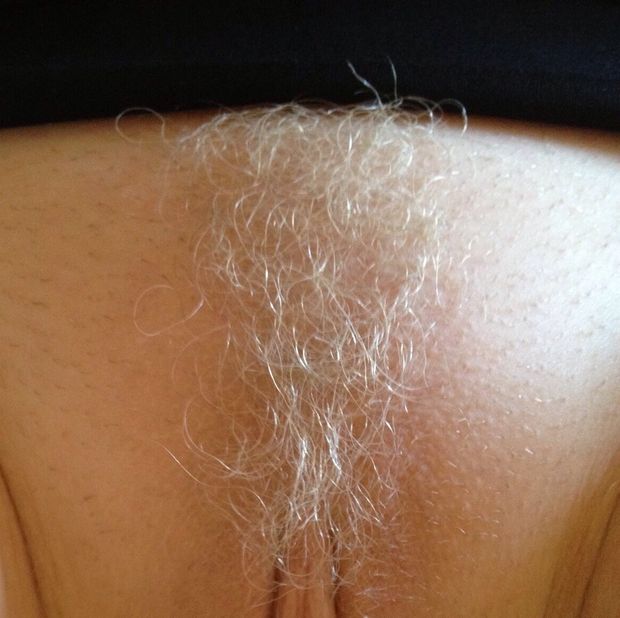 blonde bush