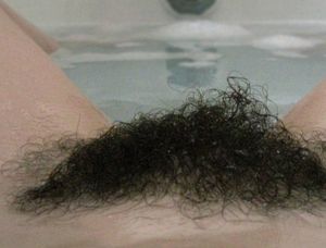 photo de chatte poilue en gros plan