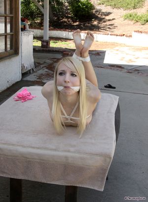 Pet grooming station.