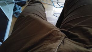 Bulges-Dickslips-Dickprints