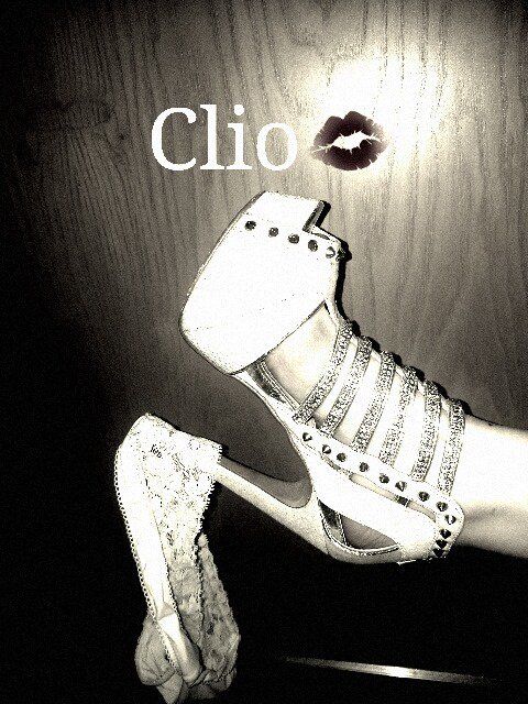 elegant shoes elegant feet