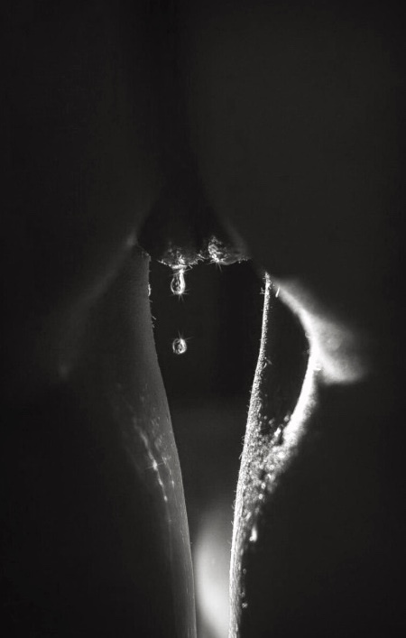 drip drip
