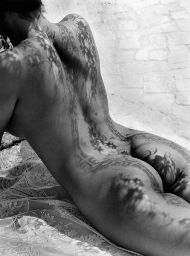 shadows