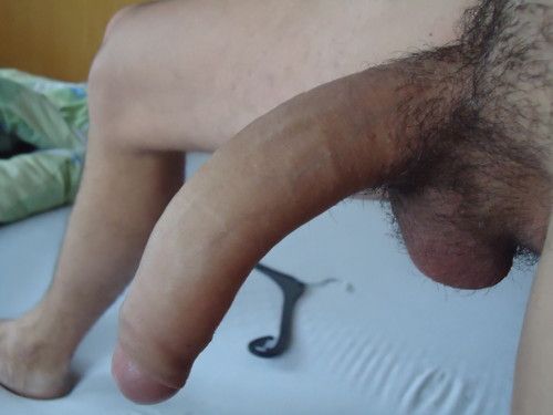 Arched Horse-Like Cock