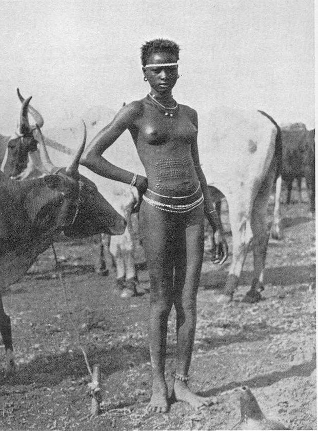 tribal