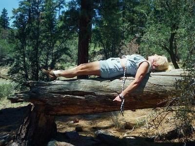 log tied