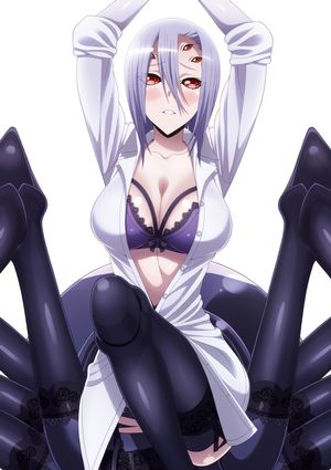 rachnera arachnera (monster musume no iru nichijou)