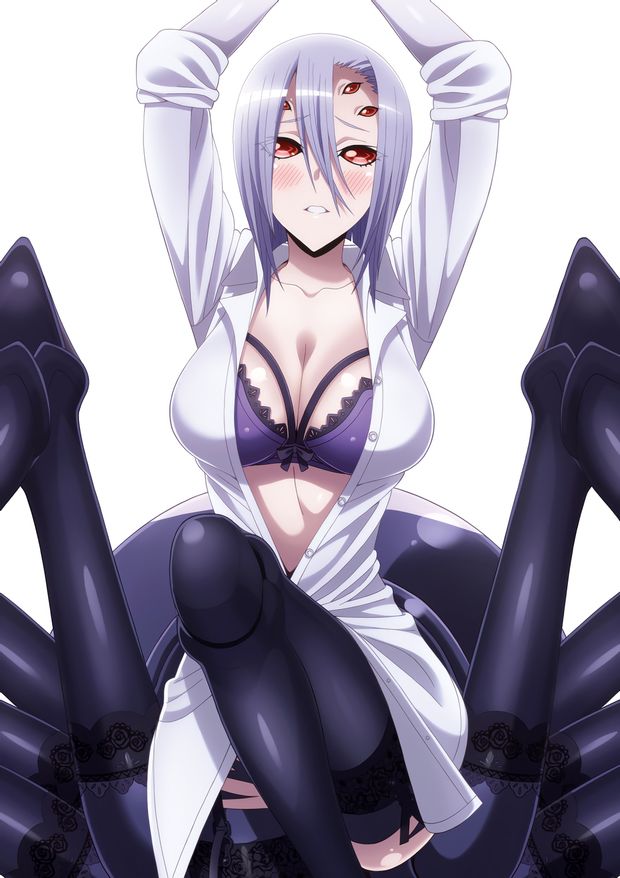 rachnera arachnera (monster musume no iru nichijou)