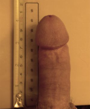 small 4" beta dick