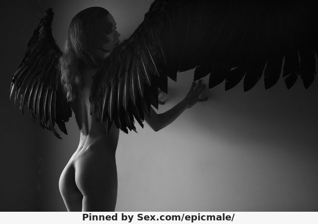 Dark wings