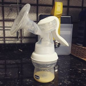 trayeuse pour vache laitière ...