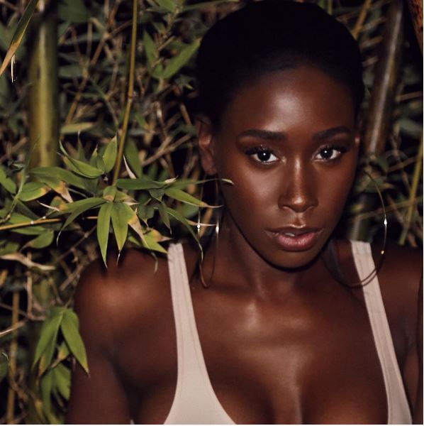 bria myles exotic ebony goddess