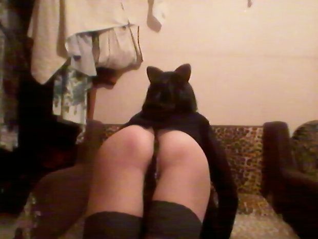tranny