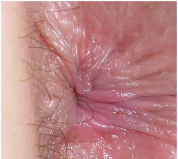 fuck my ass