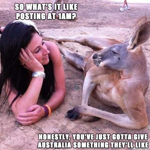 Redditing at night via /r/funny