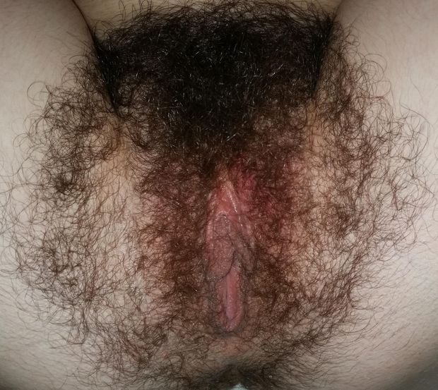 the ultimate bush