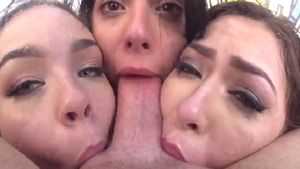 Three Brunette suck a Dick