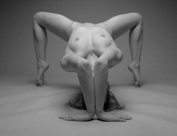 Flexible art