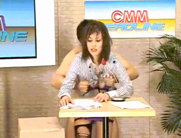 17296528.gif