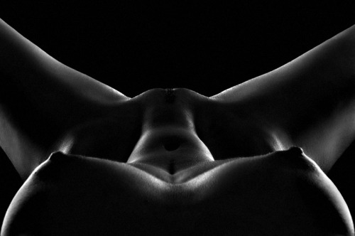light and dark
