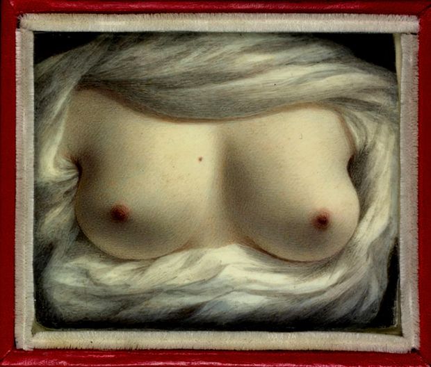 Goodridge 1828 Beauty Revealed
