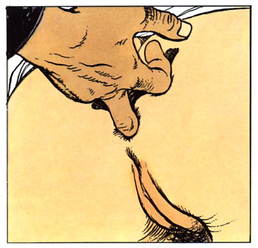 Milo Manara