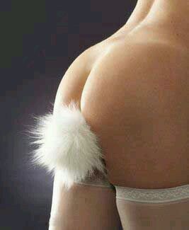 bunny tail plug with stockings