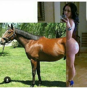 Centaur?