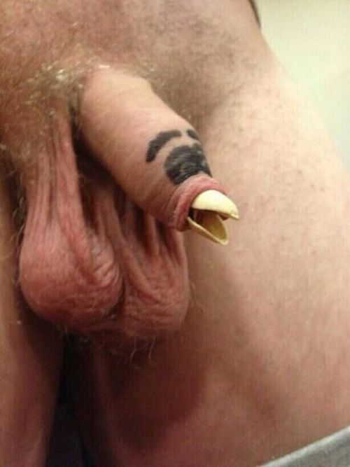 cock