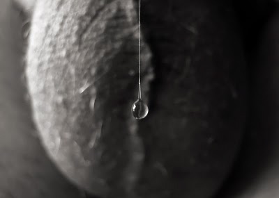 Lick